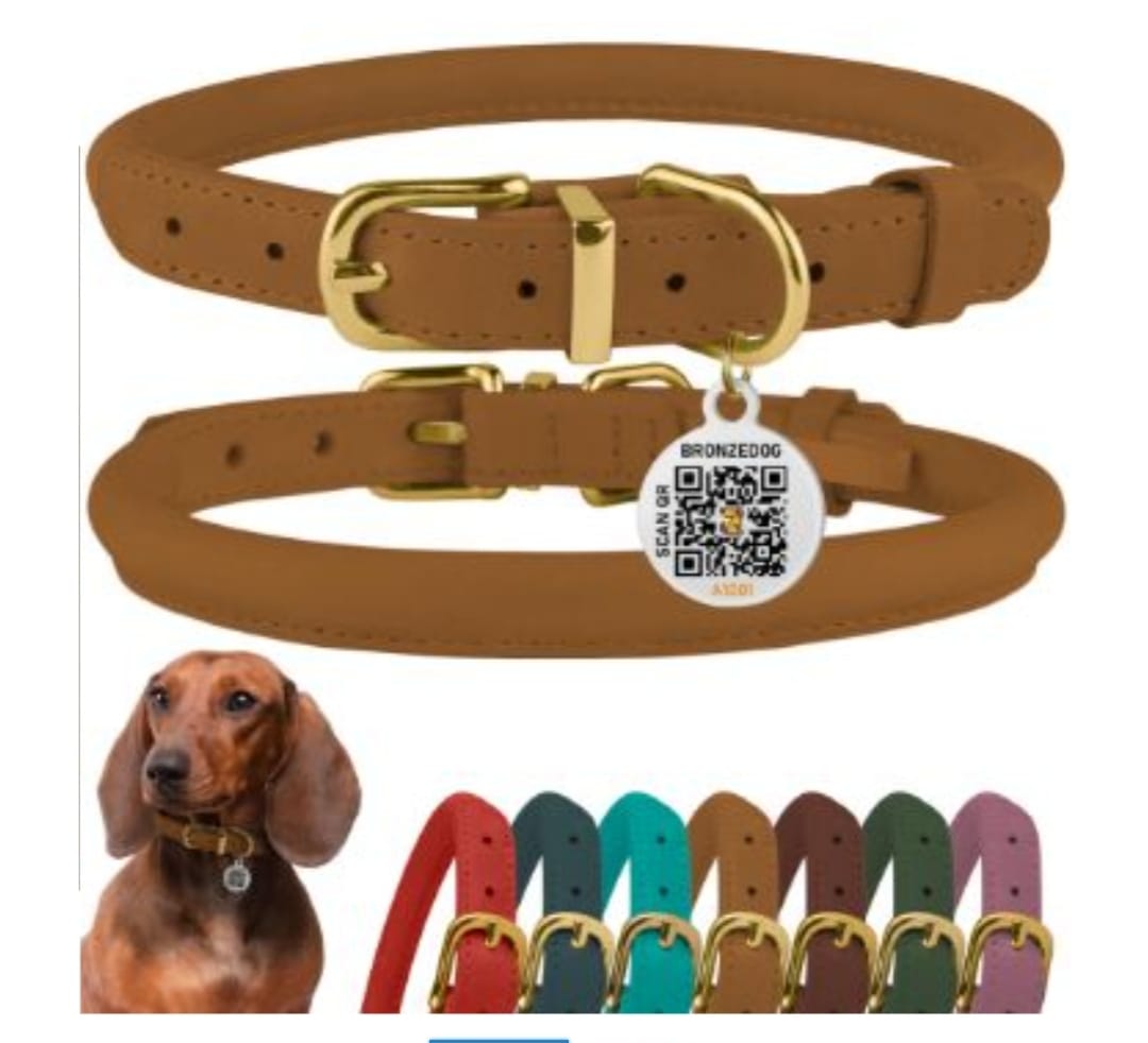 BronzeDog Rolled Leather Dog Collar with QR ID Tag