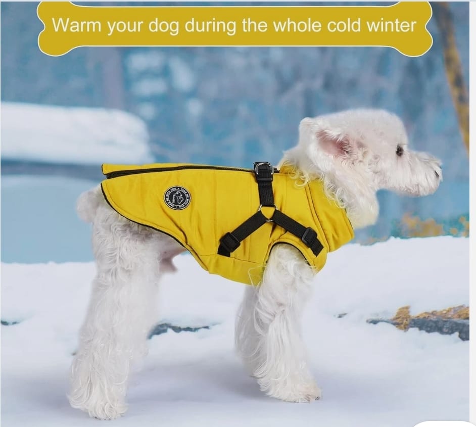 Savlot Dog Winter Coats
